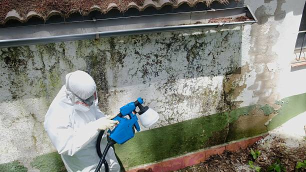 Top rated local Mold Remediation specialists in Middletown, PA